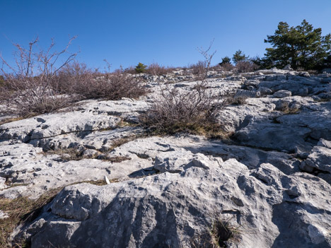 Lapiaz du versant Ouest de la Montagne du Cheiron