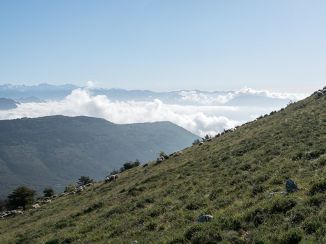 Mer du nuages sur la vallée du Var