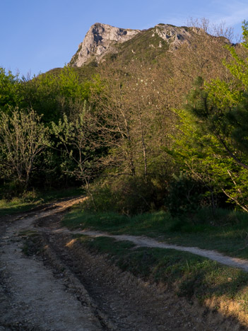 Le Pech de Bugarach dans le soleil matinal