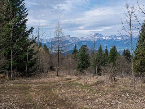 Descente du Petit Châtel