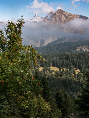 La Tête de Garnesier