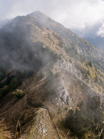 Le Collet du Pic de l'Aigle