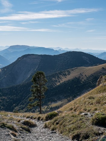 Au Col de Plate Contier