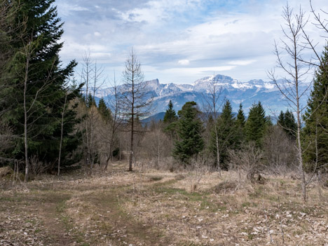 Descente du Petit Châtel