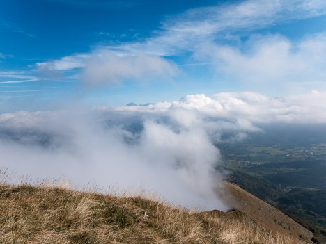 Toussière