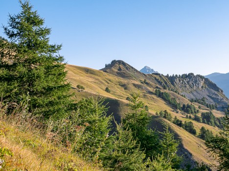 Le Pain de Sucre, août 2019