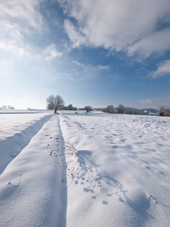 Le Couvérier, stigmates d'un chemin sous le manteau neigeux