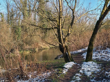 Le sentier Envirhôna au bord de la lône, janv. 2021