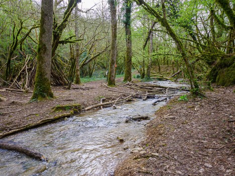 Le Ruisseau de Morteyrieu