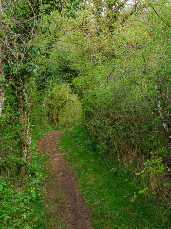 Le chemin à travers Morteyrieu