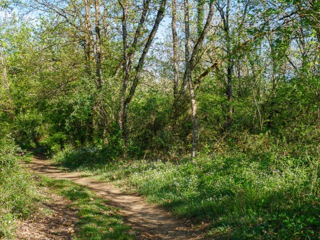 Par le chemin fleuri de Reponoux