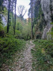 Par le canyon du Bois de la Garde
