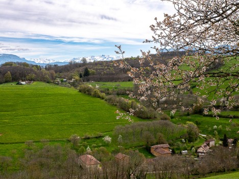 Girin, Belledonne en toile de fond, avr. 2023