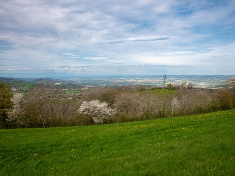 La Plaine de la Bièvre, avr. 2023