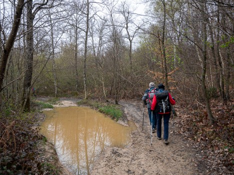 Gouilles profondes du chemin de l'Étang des Essarts, avr. 2023