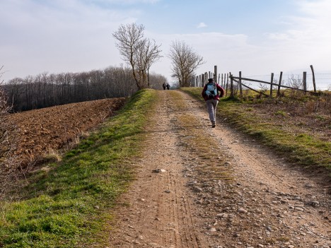 Par le chemin des Côtes, janv. 2020