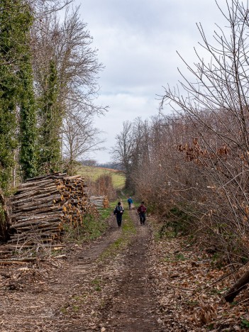 Retour par les Côtes, janv. 2020