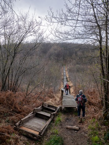 Passerelle de la tourbière de la Combe des Planchettes, avr. 2023