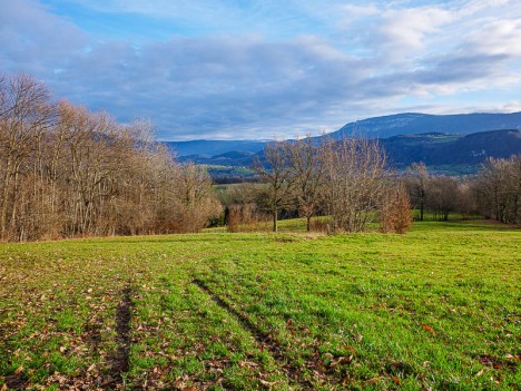 Prés ensoleillés devant le Mont Grelle, janv. 2024