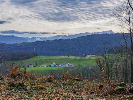 La vue s'étend jusqu'à l'Alpette, jusqu'au Grand Manti, janv. 2024