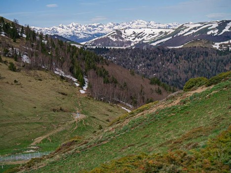Les Pyrénées depuis le Col de Seillis