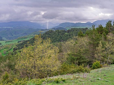 Printemps au Sarrat du Maljournal - Roquefeuil