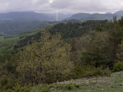 Printemps au Sarrat du Maljournal - Roquefeuil