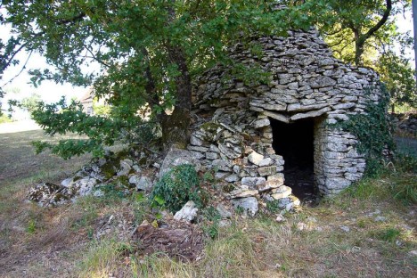 Cazelle au bord de la route