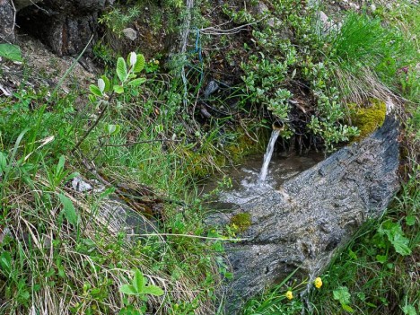 Source dans la Forêt De Mont-Dauphin
