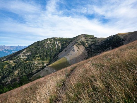 Sommet de Combe Chauve