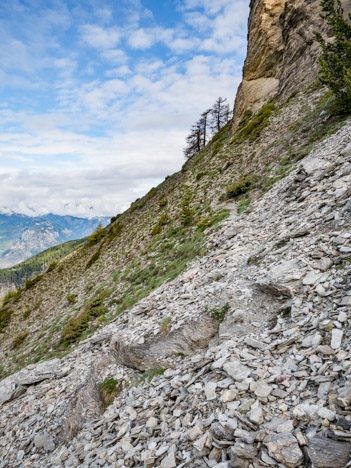 Vers le Torrent Guillermin