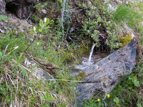 Source dans la Forêt de Mont-Dauphin