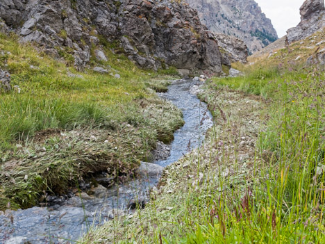 Torrent du Vallon Laugier