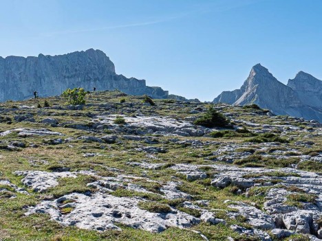 Sur les pentes de la Roche de Tréminis