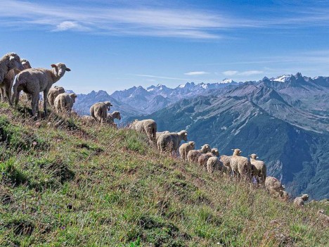 Sur la crête de Bonzon