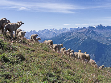 Sur la crête de Bonzon