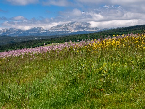 Le Sommet de Pierre Blanche, le Pas de la Ville et le Grand Veymont, juin 2021