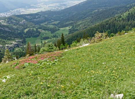 Au-dessus de la combe du Chalet de la Fauge