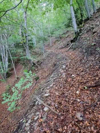 Sentier des Aiguilles