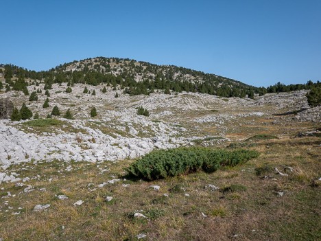 Le Sommet de Tourte-Barreaux, sept. 2019