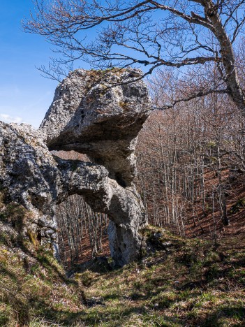 La curieuse Arche de Rucla