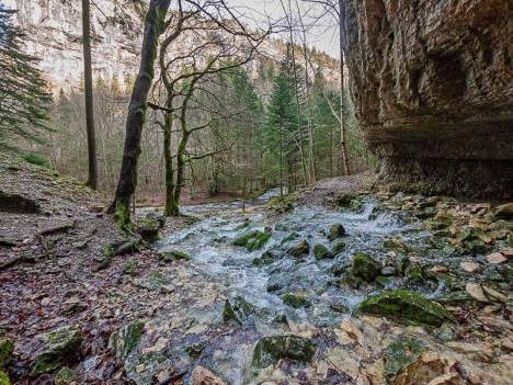 Confluent dans le Vallon du Bruyant