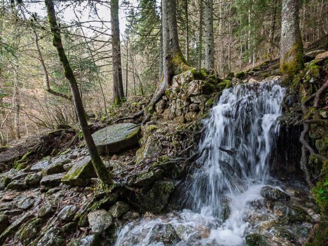 Des vestiges du Moulin de Saint-Nizier