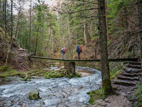 Passerelle sur le Bruyant