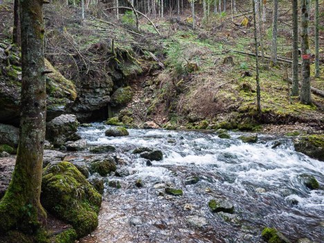 La résurgence; source du Bruyant