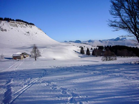 Le gîte de la Molière