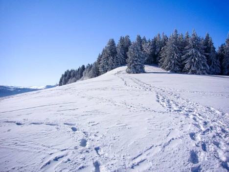 Au début de la crête de Charande