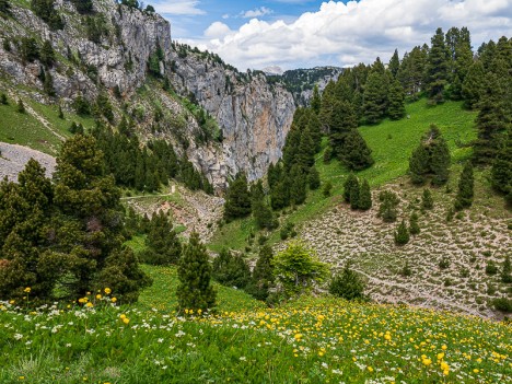 Le chemin du Pas de l'Aiguille