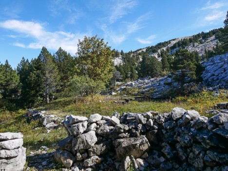 Ruine du Clos de la Fure