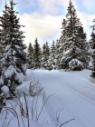 Piste damée en quittant Corrençon